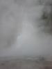 PICTURES/Yellowstone National Park - Day 2/t_Echinus Geyser Errupting7.JPG